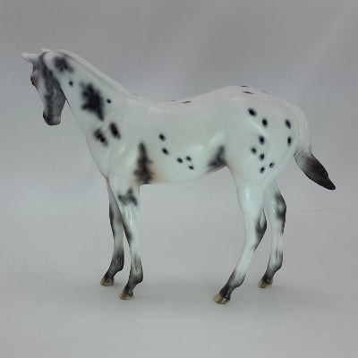 CHRISTMAS CHEER - Leopard Appaloosa Weanling 12/14