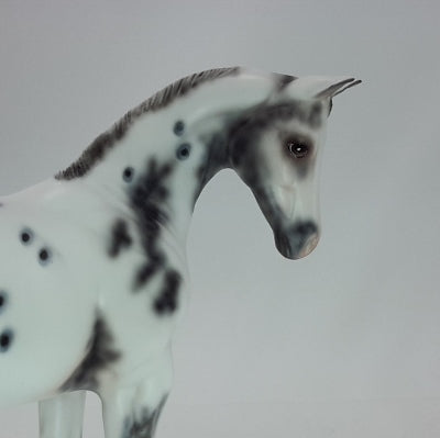 CHRISTMAS CHEER - Leopard Appaloosa Weanling 12/14