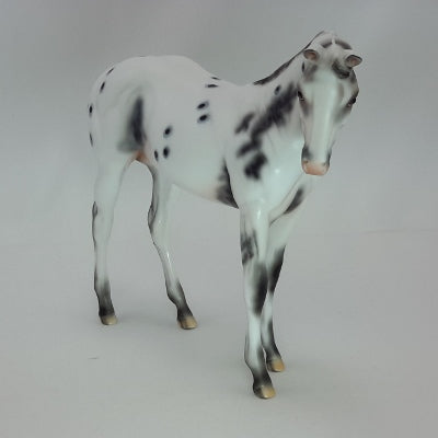 CHRISTMAS CHEER - Leopard Appaloosa Weanling 12/14