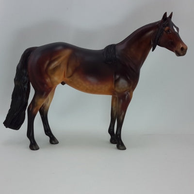 CIMERON 3 - OOAK Dapple Seal Bay Stock Horse 12/14