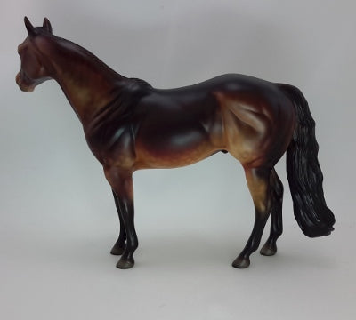 CIMERON 3 - OOAK Dapple Seal Bay Stock Horse 12/14