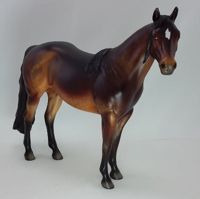 CIMERON 3 - OOAK Dapple Seal Bay Stock Horse 12/14