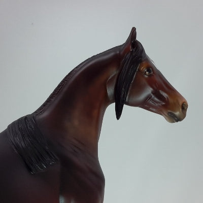 CIMERON 3 - OOAK Dapple Seal Bay Stock Horse 12/14