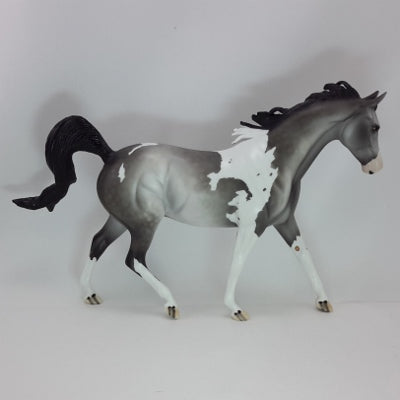 Dapple Gray Pinto Pony