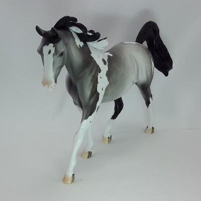 SILVER BELLS - Dapple Gray Pinto