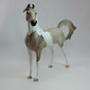 JOY &amp; HAPPINESS - OOAK Dapple Gray Pinto  Marwari Arabian - 12/14