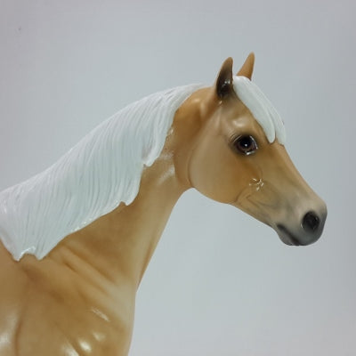 STARS ABOVE - OOAK Dapple Palomino Stock Horse 12/14