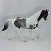 BLAZING YULETIDE - OOAK Gray Pinto Tennessee Walker 12/14