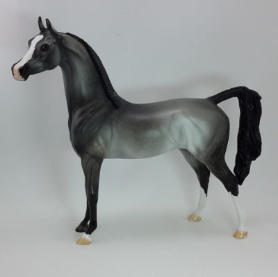 WINTER SPECTACLE - OOAK Dapple Gray Braided Arabian 12/14