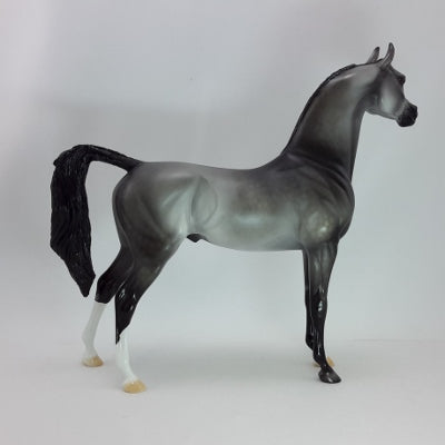 WINTER SPECTACLE - OOAK Dapple Gray Braided Arabian 12/14
