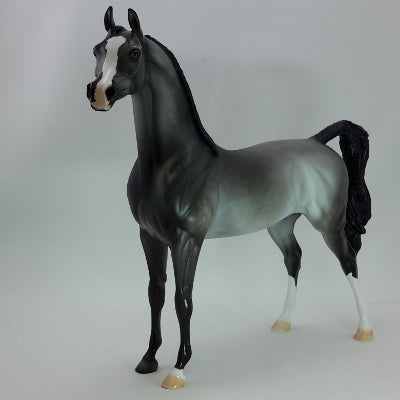 WINTER SPECTACLE - OOAK Dapple Gray Braided Arabian 12/14