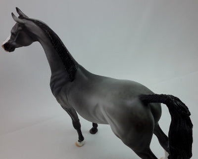 WINTER SPECTACLE - OOAK Dapple Gray Braided Arabian 12/14