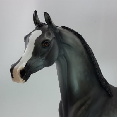 WINTER SPECTACLE - OOAK Dapple Gray Braided Arabian 12/14