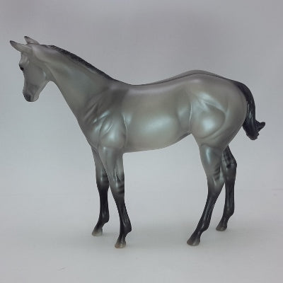 GOOD WILL - OOAK Dark Silver Dun Weanling 12/14