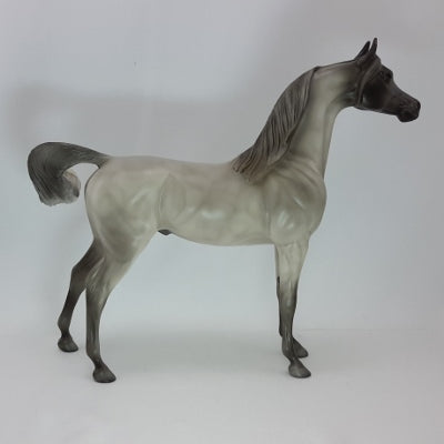 FELIZ NAVIDAD - Blue Roan Arabian - SR2 12/14