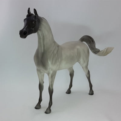 FELIZ NAVIDAD - Blue Roan Arabian - SR2 12/14