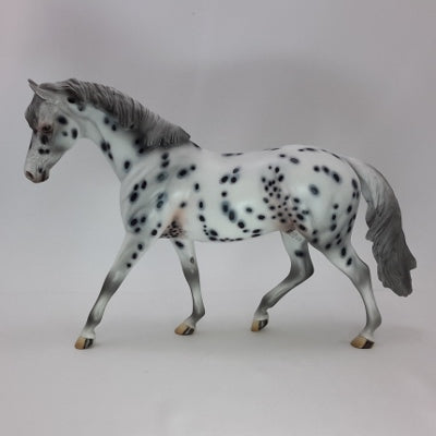 WEXFORD CAROL - OOAK Leopard Appaloosa Pony 12/14