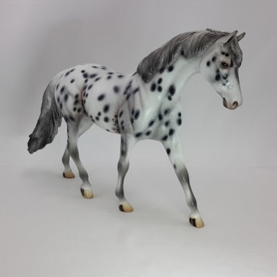 WEXFORD CAROL - OOAK Leopard Appaloosa Pony 12/14