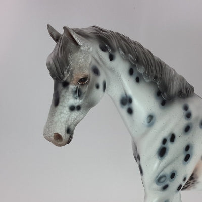 WEXFORD CAROL - OOAK Leopard Appaloosa Pony 12/14