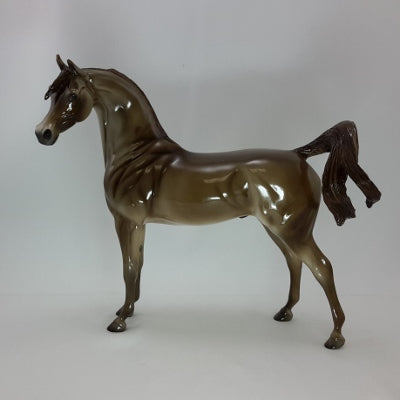 ST. NICK - Champagne Arabian - SR2 - 12/14