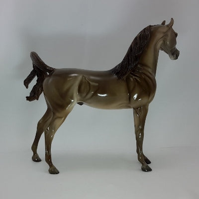 ST. NICK - Champagne Arabian - SR2 - 12/14