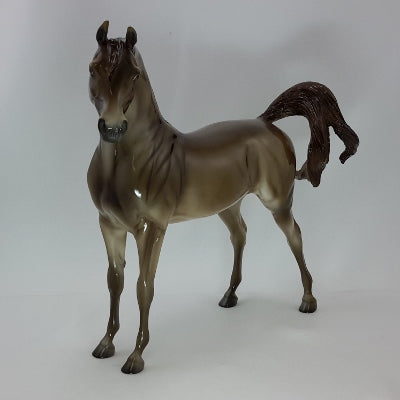 ST. NICK - Champagne Arabian - SR2 - 12/14