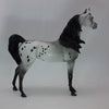 FROSTY WINDOWS - OOAK Appaloosa Arabian 12/14