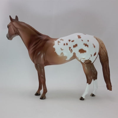 ARIANA - OOAK Chestnut Appaloosa Stock Horse 12/14