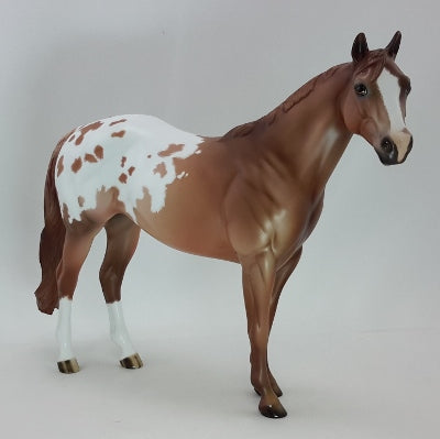 ARIANA - OOAK Chestnut Appaloosa Stock Horse 12/14