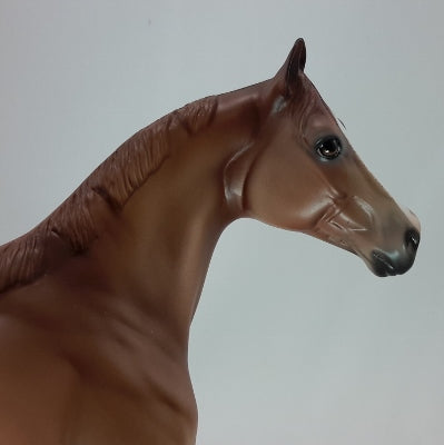 ARIANA - OOAK Chestnut Appaloosa Stock Horse 12/14