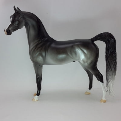 ELEGANT - OOAK Dapple Gray Arabian 12/14