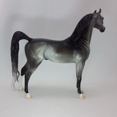 ELEGANT - OOAK Dapple Gray Arabian 12/14