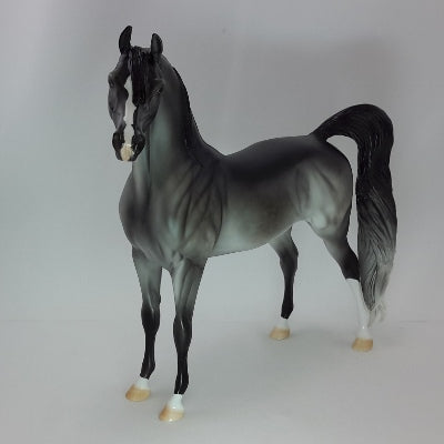 ELEGANT - OOAK Dapple Gray Arabian 12/14
