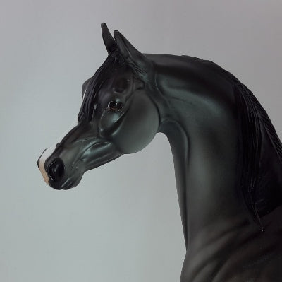 ELEGANT - OOAK Dapple Gray Arabian 12/14