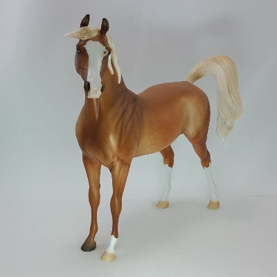 SUN GOD - OOAK Dapple Palomino Arabian 12/14