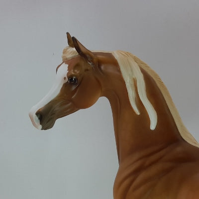SUN GOD - OOAK Dapple Palomino Arabian 12/14