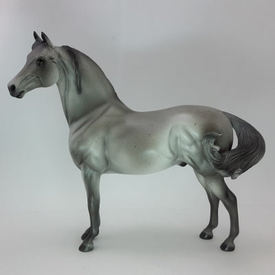 BLIZZARD - OOAK Gray Morgan 12/14