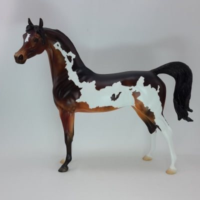MOCHA MERRY - OOAK Bay Pinto Arabian 12/14