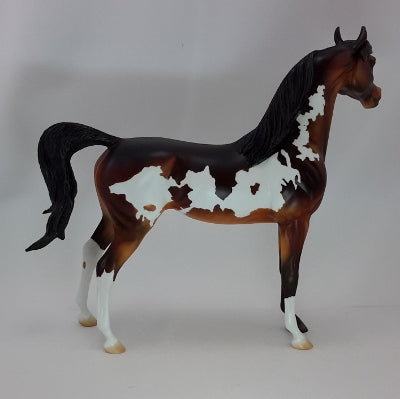 MOCHA MERRY - OOAK Bay Pinto Arabian 12/14