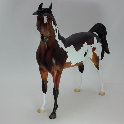 MOCHA MERRY - OOAK Bay Pinto Arabian 12/14