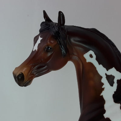 MOCHA MERRY - OOAK Bay Pinto Arabian 12/14