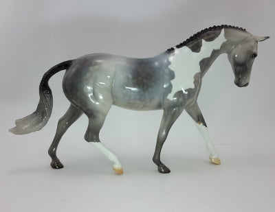 Dapple Gray Pinto Pony