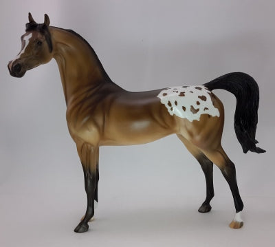 FELICE - OOAK Bay Appaloosa Arabian 12/14