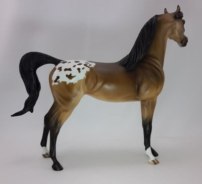 FELICE - OOAK Bay Appaloosa Arabian 12/14