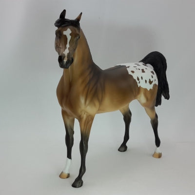 FELICE - OOAK Bay Appaloosa Arabian 12/14