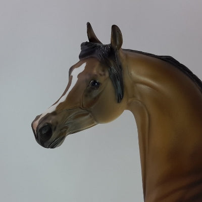 FELICE - OOAK Bay Appaloosa Arabian 12/14