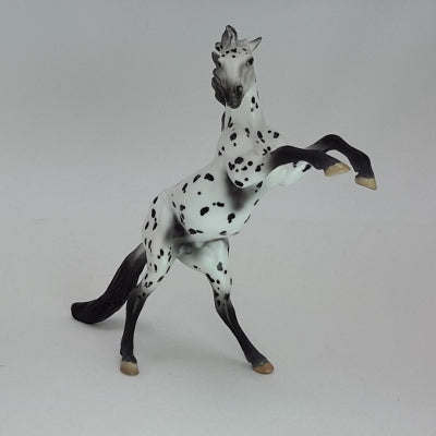 BLOWING SNOW - OOAK Leopard Appaloosa Model Horse Chip -12/14