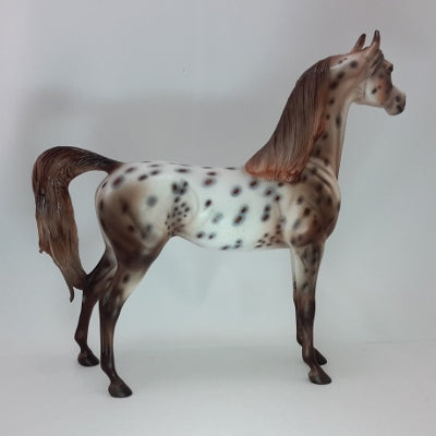 HARMONY FAITH LANE - OOAK Chestnut Appaloosa 12/14