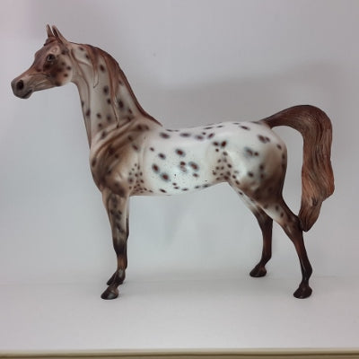 HARMONY FAITH LANE - OOAK Chestnut Appaloosa 12/14