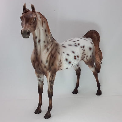 HARMONY FAITH LANE - OOAK Chestnut Appaloosa 12/14